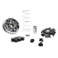 VARIATEUR MAXISCOOTER MALOSSI MULTIVAR 2000 SPORT POUR KYMCO 125 SKYTOWN 2024> EURO 5 3667385002905