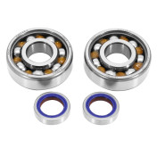 ROULEMENT D'EMBIELLAGE + JOINT CYCLO POLINI ADAPTABLE PEUGEOT 103 SP, MVL, SPX, RCX (KIT 282.0010) 8054705128264