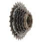 ROUE LIBRE 6V. BRONZE 14-28 -NEWTON- 3700948302903