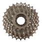 ROUE LIBRE 8V. BRONZE 13-28 -NEWTON- 3700948302927