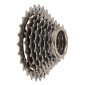 ROUE LIBRE 8V. BRONZE 13-28 -NEWTON- 3700948302927