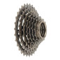 ROUE LIBRE 8V. NOIR 13-32 -NEWTON- 3700948302934