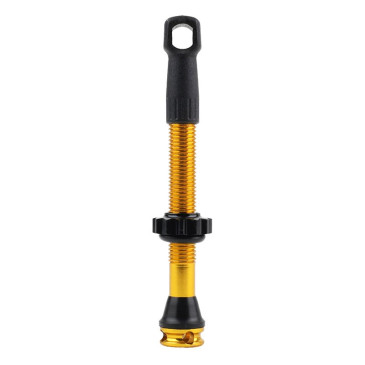 VALVE DE PNEU TUBELESS PRESTA NEWTON COLORI OR 47mm 4 TROUS POUR DIFFUSION PREVENTIF (VENDU A L'UNITE) - LIVRE AVEC DEMONTE OBUS 3700948308592