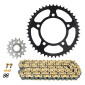 KIT CHAINE ADAPTABLE HONDA 750 CB HORNET 2023> 520 16x45 (DIAM COURONNE 100/120/10.50) (DEMULTIPLICATION ORIGINE) -AFAM- 5400598266928