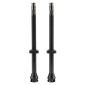 VALVE DE PNEU TUBELESS SCHWALBE CLIK VALVE 80 mm OBUS DEMONTABLE (VENDU A LA PAIRE SUR CARTE) 4026495951982
