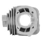 CYLINDRE SCOOT ADAPTABLE PEUGEOT 50 KISBEE 2018> 2T INJECTION ALU TRAITEMENT CERAMIQUE (DIAM 39 mm - AXE DE PISTON 13 mm) -P2R- 3700948310861