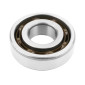 ROULEMENT D'EMBIELLAGE 6204 (20x47x14) TPI POLYAMIDE C4 ADAPTABLE MBK 50 BOOSTER/YAMAHA 50 BWS/DERBI 50 SENDA/PEUGEOT 50 LUDIX, 103/CPI 50 ARAGON, OLIVER/KEEWAY 50 FOCUS, MATRIX (A L'UNITE) 3700948284049