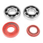 BEARING FOR CRANKSHAFT+SEALS FOR SCOOT P2R RACING FOR MBK 50 BOOSTER, NITRO/YAMAHA 50 BWS, AEROX/APRILIA 50 SR/CPI 50 ARAGON/GENERIC 50 IDEO/KEEWAY 50 FOCUS (KIT 6204 FAG POLYAMIDE) 3701213409488