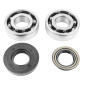 ROULEMENT D'EMBIELLAGE + JOINT SCOOT P2R ADAPTABLE MBK 50 BOOSTER, NITRO/YAMAHA 50 BWS, AEROX/APRILIA 50 SR/CPI 50 ARAGON/GENERIC 50 IDEO/KEEWAY 50 FOCUS (KIT 6204 TPI POLYAMIDE C4) 3701213416141