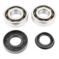 BEARING FOR CRANKSHAFT+SEALS FOR SCOOT P2R FOR MBK 50 BOOSTER, NITRO/YAMAHA 50 BWS, AEROX/APRILIA 50 SR/CPI 50 ARAGON/GENERIC 50 IDEO/KEEWAY 50 FOCUS (KIT 6204 TPI POLYAMID CASE C4) 3701213416141