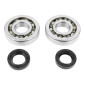 BEARING FOR CRANKSHAFT+SEALS FOR SCOOT P2R FOR PIAGGIO 50 ZIP 2STROKE, TYPHOON, NRG/GILERA 50 STALKER, RUNNER (KIT SC04A47CS TPI POLYAMID CASE/NITRILE SEALS) 3701213410125