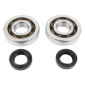 BEARING FOR CRANKSHAFT+SEALS FOR SCOOT P2R FOR PIAGGIO 50 ZIP 2STROKE, TYPHOON, NRG/GILERA 50 STALKER, RUNNER (KIT SC04A47CS TPI POLYAMID CASE/NITRILE SEALS) 3701213410125