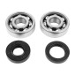 BEARING FOR CRANKSHAFT+SEALS FOR 50cc MOTORBIKE MINARELLI AM6/MBK 50 X-POWER/YAMAHA 50 TZR/PEUGEOT 50 XPS, XR6/RIEJU 50 RS1, SMX/BETA 50 RR (KIT 6303 SKF C4/ NITRILE SEAL) 3701213418985