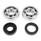 BEARING FOR CRANKSHAFT+SEALS FOR 50cc MOTORBIKE MINARELLI AM6/MBK 50 X-POWER/YAMAHA 50 TZR/PEUGEOT 50 XPS, XR6/RIEJU 50 RS1, SMX/BETA 50 RR (KIT 6303 SKF C4/ NITRILE SEAL) 3701213418985