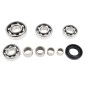 BEARING FOR GEARBOX (FAG) + NEEDLE ROLLER AND CAGE ASSEMBLIES (INA) FOR 50cc MOTORBIKE MINARELLI 50 AM6/BETA 50 RR/RIEJU 50 MRT/SHERCO 50 SE-R/MBK 50 X-POWER/YAMAHA 50 TZR/PEUGEOT 50 XPS 3701213418961