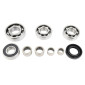 BEARING FOR GEARBOX (ZKL) + NEEDLE ROLLER AND CAGE ASSEMBLIES (INA) FOR 50cc MOTORBIKE MINARELLI 50 AM6/BETA 50 RR/RIEJU 50 MRT/SHERCO 50 SE-R/MBK 50 X-POWER/YAMAHA 50 TZR/PEUGEOT 50 XPS 3701213418978