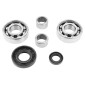 BEARINGS+NEEDLE BEARINGS FOR GEARBOX -SKF - FOR DERBI 50 SENDA (2x6203 C4 + 2 x HK1412 + 2 SPI 12x20x5 / 17x35x7) 3701213419692