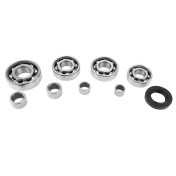 BEARINGS+NEEDLE BEARINGS FOR GEARBOX -SKF INA - FOR MINARELLI 50 AM6/BETA 50 RR/RIEJU 50 MRT/SHERCO 50 SE-R/MBK 50 X-POWER/YAMAHA 50 TZR/PEUGEOT 50 XPS 3701213419753