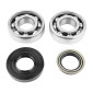 BEARING FOR CRANKSHAFT+SEALS FOR SCOOT P2R FOR MBK 50 BOOSTER, NITRO/YAMAHA 50 BWS, AEROX/APRILIA 50 SR/CPI 50 ARAGON/GENERIC 50 IDEO/KEEWAY 50 FOCUS (KIT 6204 SKF STEEL C4/NITRILE SEAL) 3701213410378