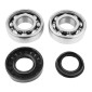BEARING FOR CRANKSHAFT+SEALS FOR SCOOT P2R FOR MBK 50 BOOSTER, NITRO/YAMAHA 50 BWS, AEROX/APRILIA 50 SR/CPI 50 ARAGON/GENERIC 50 IDEO/KEEWAY 50 FOCUS (KIT 6204 SKF STEEL C4/NITRILE SEAL) 3701213410378