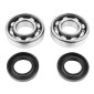 BEARING FOR CRANKSHAFT+SEALS FOR 50CC MOTORBIKE P2R FOR DERBI 50 SENDA, GPR/GILERA 50 SMT, RCR (ENGINE EURO 2 + EURO 3) (KIT 6204 FAG STEEL C3/NITRILE SEAL) 3701213406098
