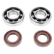 BEARING FOR CRANKSHAFT+SEALS FOR 50CC MOTORBIKE P2R FOR DERBI 50 SENDA, GPR/GILERA 50 SMT, RCR (ENGINE EURO 2 + EURO 3) (KIT 6204 FAG POLYAMID C4/VITON SEAL) 3701213405978