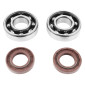 BEARING FOR CRANKSHAFT+SEALS FOR 50CC MOTORBIKE P2R FOR DERBI 50 SENDA, GPR/GILERA 50 SMT, RCR (ENGINE EURO 2 + EURO 3) (KIT 6204 FAG POLYAMID C4/VITON SEAL) 3701213405978