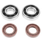 BEARING FOR CRANKSHAFT+SEALS FOR 50CC MOTORBIKE P2R FOR DERBI 50 SENDA, GPR/GILERA 50 SMT, RCR (ENGINE EURO 2 + EURO 3) (KIT 6204 FAG POLYAMID C4/VITON SEAL) 3701213405978