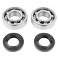 BEARING FOR CRANKSHAFT+SEALS FOR 50CC MOTORBIKE P2R FOR DERBI 50 SENDA, GPR/GILERA 50 SMT, RCR (ENGINE EURO 2 + EURO 3) (KIT 6204 SKF STEEL C4/NITRILE SEAL) 3701213410453