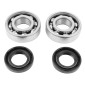 ROULEMENT D'EMBIELLAGE + JOINT 50 A BOITE P2R ADAPTABLE DERBI 50 SENDA, GPR/GILERA 50 SMT, RCR (MOTEUR EURO 2 + EURO 3) (KIT 6204 SKF ACIER C4/JOINT NITRILE) 3701213410453