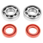BEARING FOR CRANKSHAFT+SEALS FOR 50CC MOTORBIKE P2R FOR DERBI 50 SENDA, GPR/GILERA 50 SMT, RCR (ENGINE EURO 2 + EURO 3) (KIT 6204 SKF STEEL C4/RACING RED SEAL) 3701213422746