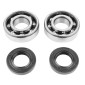 BEARING FOR CRANKSHAFT+SEALS FOR 50CC MOTORBIKE P2R FOR DERBI 50 SENDA, GPR/GILERA 50 SMT, RCR (ENGINE EURO 2 + EURO 3) (KIT 6204 SKF POLYAMID C4/NITRILE SEAL) 3701213410460