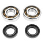BEARING FOR CRANKSHAFT+SEALS FOR 50CC MOTORBIKE P2R FOR DERBI 50 SENDA, GPR/GILERA 50 SMT, RCR (ENGINE EURO 2 + EURO 3) (KIT 6204 SKF POLYAMID C4/NITRILE SEAL) 3701213410460