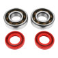BEARING FOR CRANKSHAFT+SEALS FOR 50CC MOTORBIKE P2R FOR DERBI 50 SENDA, GPR/GILERA 50 SMT, RCR (ENGINE EURO 2 + EURO 3) (KIT 6204 SKF POLYAMID C4/RACING RED SEAL) 3701213422753