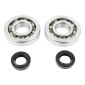BEARING FOR CRANKSHAFT+SEALS FOR MOPED PEUGEOT 50 FOX (KIT SC04A47CS TPI POLYAMID/ NITRILE SEAL) - P2R 3701213422760