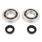 BEARING FOR CRANKSHAFT+SEALS FOR MOPED PEUGEOT 50 FOX (KIT SC04A47CS TPI POLYAMID/ NITRILE SEAL) - P2R 3701213422760