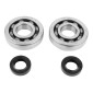 BEARING FOR CRANKSHAFT+SEALS FOR MOPED PEUGEOT 50 FOX (KIT SC04A47CS TPI STEEL C4/NITRILE SEAL) - P2R 3701213422920