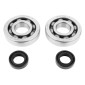 BEARING FOR CRANKSHAFT+SEALS FOR MOPED PEUGEOT 50 FOX (KIT SC04A47CS TPI STEEL C4/NITRILE SEAL) - P2R 3701213422920