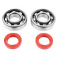 BEARING FOR CRANKSHAFT+SEALS FOR SCOOT P2R FOR PEUGEOT 50 LUDIX, SPEEDFIGHT 3, JET FORCE, KISBEE/DJANGO 2STROKE (KIT 6204 FAG STEEL C3/RED RACING SEAL) 3701213422777
