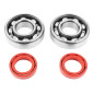 BEARING FOR CRANKSHAFT+SEALS FOR SCOOT P2R FOR PEUGEOT 50 LUDIX, SPEEDFIGHT 3, JET FORCE, KISBEE/DJANGO 2STROKE (KIT 6204 FAG STEEL C3/RED RACING SEAL) 3701213422777