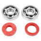 BEARING FOR CRANKSHAFT+SEALS FOR 50CC MOTORBIKE P2R FOR MINARELLI 50 AM6/MBK 50 X-POWER/YAMAHA 50 TZR/PEUGEOT 50 XPS, XR6/RIEJU 50 RS1, SMX/BETA 50 RR (KIT 6303 SKF STEEL C4/RED RACING SEAL) 3701213422814