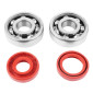 BEARING FOR CRANKSHAFT+SEALS FOR 50CC MOTORBIKE P2R FOR MINARELLI 50 AM6/MBK 50 X-POWER/YAMAHA 50 TZR/PEUGEOT 50 XPS, XR6/RIEJU 50 RS1, SMX/BETA 50 RR (KIT 6303 SKF STEEL C4/RED RACING SEAL) 3701213422814