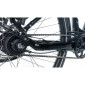 VELO ELECTRIQUE/VAE VTC 29 LEADER FOX TERTIUM 2025 FEMME NOIR BRILLANT 8V SHIMANO NEXUS MOTEUR CENTRAL BAFANG M420 36V 80Nm BATTERIE 17,5Ah (16,5'' - H43cm - TAILLE S - POUR ADULTE DE 158cm à 168cm) 8592826103406
