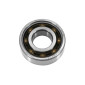 BEARING FOR CRANKSHAFT 6203 (17x40x12) SKF TN9 C3 "HIGH SPEED" FOR PEUGEOT 103/SOLEX 3800 (SOLD PER UNIT) 7316570389548