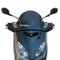 PARE-BRISE/SAUTE VENT MAXISCOOTER POUR YAMAHA 125 XMAX 2006>2008, 250 XMAX 2006>2008 / MBK 125, 250 SKYCRUISER 2006>2008 FUME FONCE (H290 mm - L380 mm) -MALOSSI- 3700948136508