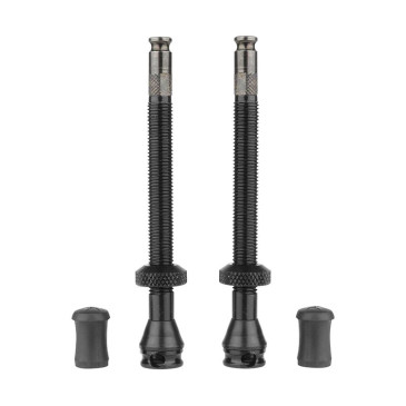 VALVE DE PNEU TUBELESS SCHWALBE CLICK VALVE 40 mm OBUS DEMONTABLE (VENDU A LA PAIRE SUR CARTE) 4026495951968