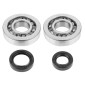 BEARING FOR CRANKSHAFT+SEALS FOR SCOOT ARTEK FOR PEUGEOT 50 TKR, TREKKER, SPEEDFIGHT, VIVACITY, BUXY, SQUAB, ZENITH, ELYSEO (KIT SC04A47CS SKF POLYAMIDE C4+NBR SEALS) 3700948003862