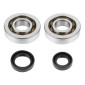 BEARING FOR CRANKSHAFT+SEALS FOR SCOOT ARTEK FOR PEUGEOT 50 TKR, TREKKER, SPEEDFIGHT, VIVACITY, BUXY, SQUAB, ZENITH, ELYSEO (KIT SC04A47CS SKF POLYAMIDE C4+NBR SEALS) 3700948003862