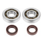 BEARING FOR CRANKSHAFT+SEALS FOR SCOOT ARTEK FOR PIAGGIO 50 ZIP 2T, TYPHOON, NRG/GILERA 50 STALKER, RUNNER (KIT SC04A47CS REINFORCED POLYAMID C4 + VITON SEALS) 3700948003879