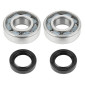 BEARING FOR CRANKSHAFT+SEALS FOR SCOOT ARTEK FOR PEUGEOT 50 LUDIX, SPEEDFIGHT 3, JET FORCE (KIT 6204 SKF POLYAMIDE C4+NBR SEALS) 3700948003855
